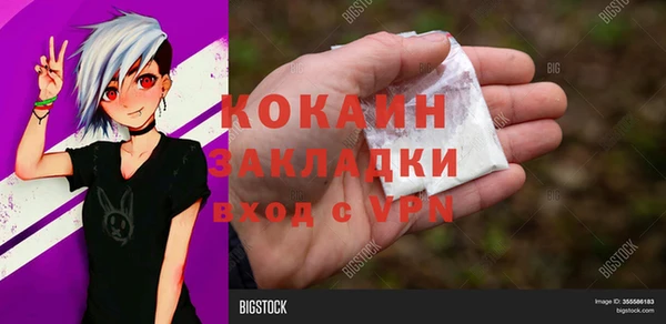 молекула духа Дмитровск
