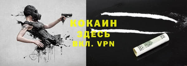 метадон Елизово