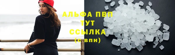 молекула духа Дмитровск