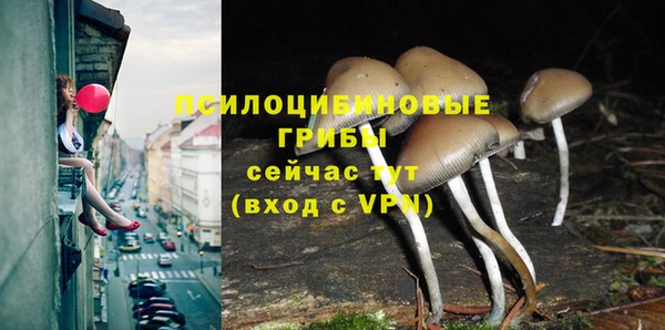 альфа пвп Дмитриев