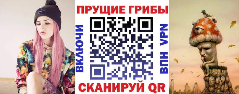 Псилоцибиновые грибы GOLDEN TEACHER  Купить  Слюдянка 